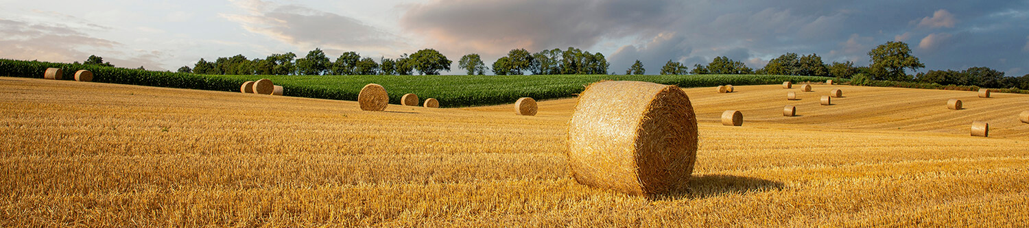 Ambiance Rapido Série C