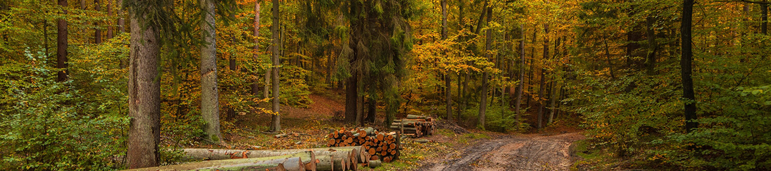 Ambiance Rapido Série C