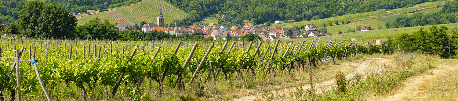 Ambiance Rapido Série C